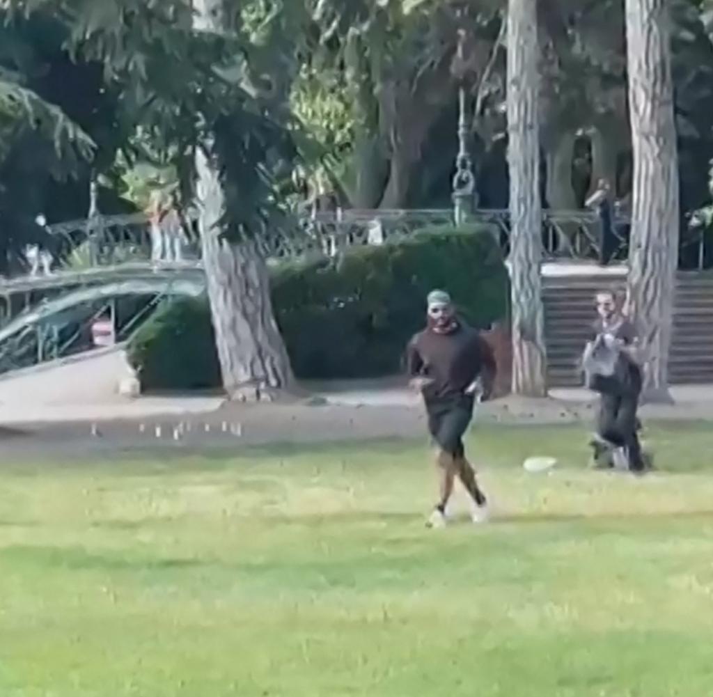 A video from the broadcaster AFPTV is said to show the perpetrator in the park