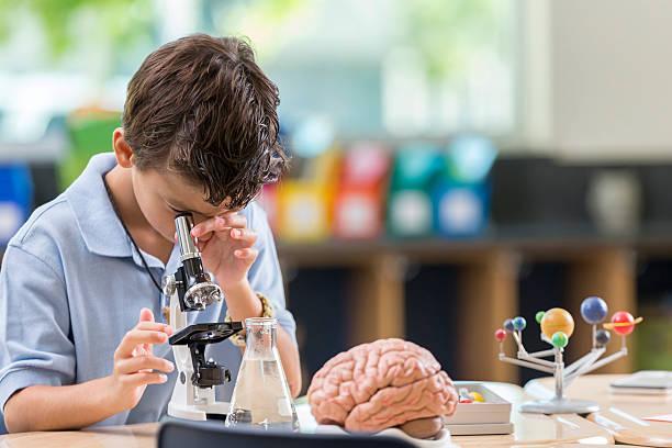 Young student looks through magnifying glass Hispanic student concentrates while looking through a microscope. A human brain model and a solar system model are on the table. kids using microscope  stock pictures, royalty-free photos & images