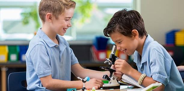 5 Microscopic Fun Activities for Juniors