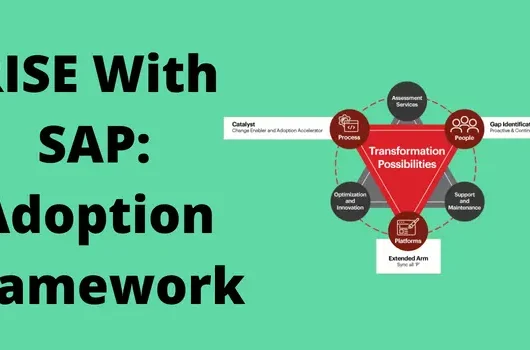 RISE With SAP: Adoption Framework